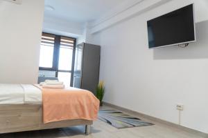 a bedroom with a bed and a flat screen tv at Studio Accommodation City Center in Iaşi