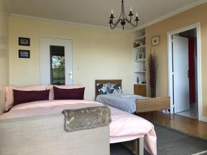 a bedroom with two beds and a chandelier at Studio 30m2 à 1O min du métro Pont de Sèvres L9 in Sèvres