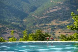 two glasses of wine sitting on the edge of a swimming pool at Finday Eco Boutique Hotel in Kalavrita