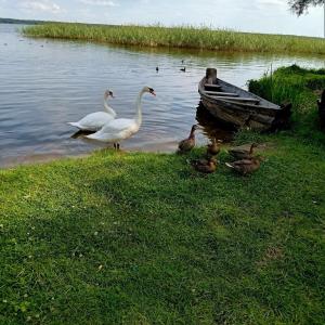 Loodusmaastik puhkemajakeste lähedal