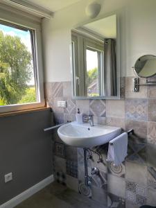 a bathroom with a sink and a mirror at Gästehaus Villa Kreativ Susanne Lay in Bad Münder am Deister