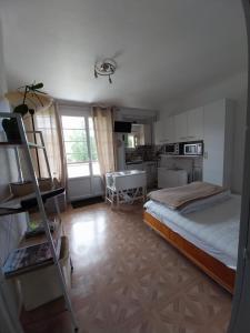 a bedroom with a bed and a ladder in it at Studio La Bourboule in La Bourboule