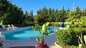 a pool with chairs and a plant in a yard at Tenuta Seredipà in Castellammare del Golfo