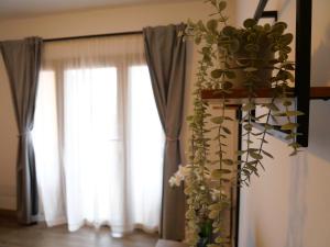 Foto sihtkohas Costa de Antigua asuva majutusasutuse BIT home galeriist
