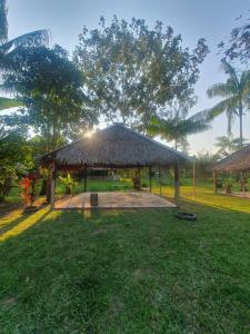 a pavilion with a straw roof on a grass field at Centro de Medicina y Posada Indigenawa in Cruzeiro do Sul
