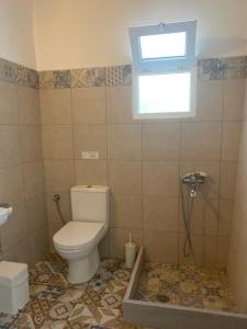 a bathroom with a toilet and a window at Artemis in Agia Marina