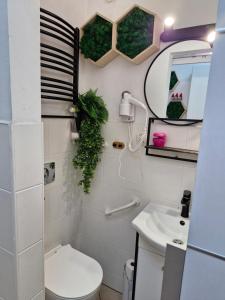 a bathroom with a toilet and a sink and a mirror at Przy rynku in Duszniki Zdrój +19 photos