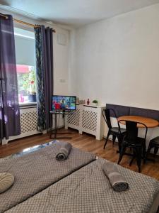 a bedroom with two beds and a table and a television at Przy rynku in Duszniki Zdrój