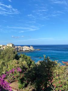Blick auf den Ozean von einem Hügel mit Blumen in der Unterkunft Charmant Studio de 28 M2 in Brando