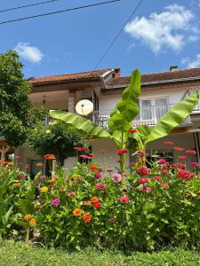 Kép Apartmani Simonovic szállásáról Sokobanjában a galériában