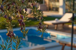 Bazén v ubytovaní Luxury Villa Luminosa alebo v jeho blízkosti