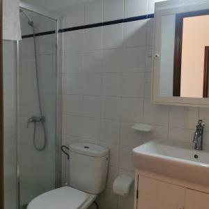 a bathroom with a toilet and a shower and a sink at Los Padres C in Tijarafe +26 photos
