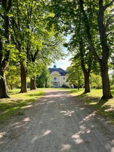 a road leading to a large white house with trees at Wohnung im Schloss in Steinburg +20 photos