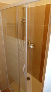 een douche met een glazen deur in de badkamer bij Ubytování Sedlařík Mladé Buky in Mladé Buky