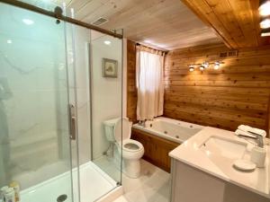 łazienka z toaletą, prysznicem i umywalką w obiekcie Stunning All-Seasons Muskoka Lakefront Cottage w mieście Huntsville +40 zdjęć