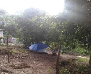 Φωτογραφία από το άλμπουμ του Camp do Riso σε Mata de Sao Joao