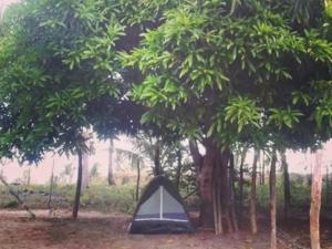 Κήπος έξω από το Camp do Riso