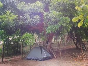 Φωτογραφία από το άλμπουμ του Camp do Riso σε Mata de Sao Joao