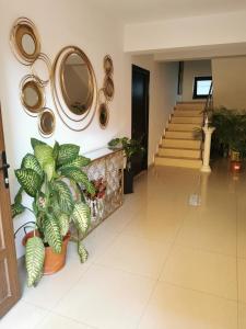 Fotografie z fotogalerie ubytování Elegance v destinaci Costineşti
