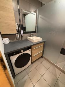 een keuken met een spoelbak en een wasmachine bij Gîte Eden classer 3 étoiles in Colmar