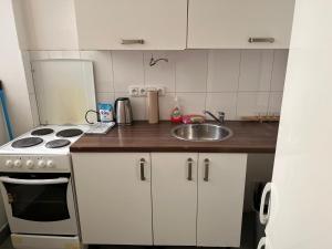 Η κουζίνα ή μικρή κουζίνα στο Centrum Apartment Ve Smečkách