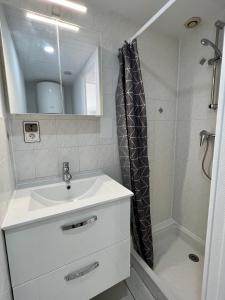 a bathroom with a sink and a shower at Chez Laurie et Xavier studio 3 in Mignaloux-Beauvoir