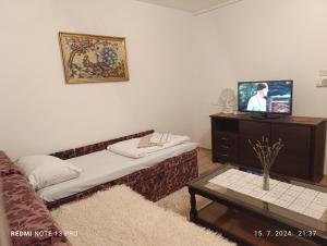 a living room with a couch and a tv at Apartment SAFIR Sarajevo- Free parking in Sarajevo