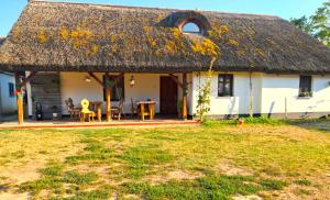 ŠupljakRóka - tanya的茅草屋顶和庭院的房子