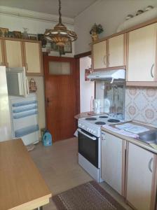a kitchen with a stove and a refrigerator at Athanasia's Apartments in Nerátza