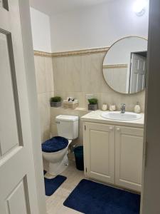 a bathroom with a toilet and a sink and a mirror at Crusoe Escape Villa in Crown Point +46 photos