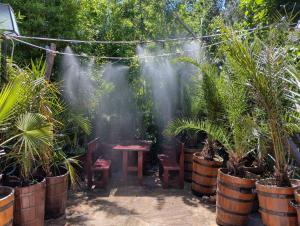 a garden with a table and some potted plants at Hostel Varna Botanika in Varna City