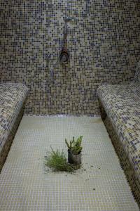 Fotografie z fotogalerie ubytování Trigrad Hotel v destinaci Trigrad