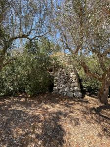 Kép Agriturismo Salento Pietralata szállásáról Andranóban a galériában