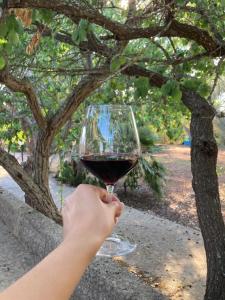 Agriturismo Salento Pietralata italokat is kínál