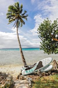 Fotografie z fotogalerie ubytování Aore Paradise - Near Santo, Vanuatu v destinaci Aore Island + 36 fotografií