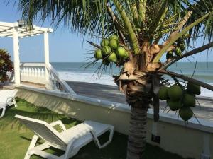 a palm tree and a white chair next to the beach at En el Mar in Nueva Gorgona