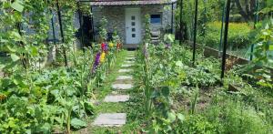 a garden with a path leading to a house at Studio Alex in Ghent