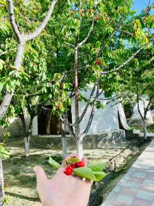 Κήπος έξω από το Apex Hotels and Resorts Skardu
