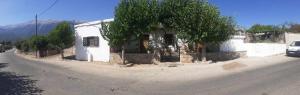 a building with a tree on the side of a street at house FYNTIKAKH - SKALA in Anopoli Sfakion