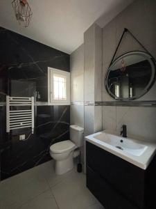 a bathroom with a toilet and a sink and a mirror at Tulipe Roanne centre-ville - Parking & Clim in Roanne +17 photos