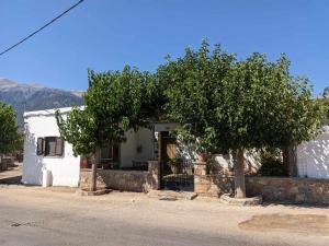 a white house with two trees in front of it at house FYNTIKAKH - SKALA in Anopoli Sfakion