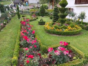 a garden with roses and other flowers and bushes at City Garden in Kolašin +19 photos