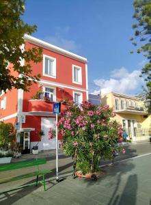 a tree in front of a building on a street at casa bisnonna pina in Ponza