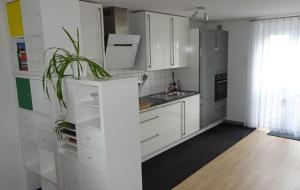 a kitchen with white cabinets and a potted plant at Fewo Höhbergblick in Tauberbischofsheim