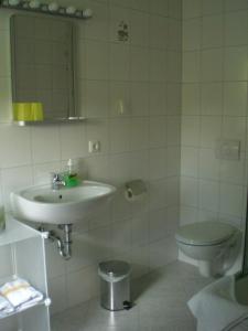 ein Bad mit einem Waschbecken und einem WC in der Unterkunft Pension-Mummerliese in Goseck