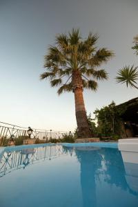 un palmier et une piscine avec un palmier dans l'établissement Vardiola Houses, close to Agios Sostis Beach, by ZanteWize, à Lithakia
