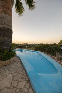 une grande piscine bordée d'un palmier dans l'établissement Vardiola Houses, close to Agios Sostis Beach, by ZanteWize, à Lithakia