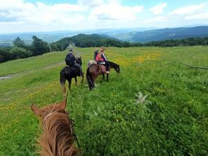 YoglavКонна база Югла的一群在田野里骑马的人