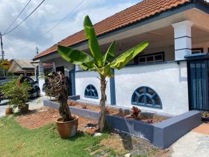 a small palm tree in front of a house at NZ Homestay in Melaka