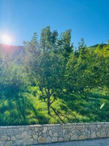 Gallery image of Holiday Home with Private Pool in Bihać